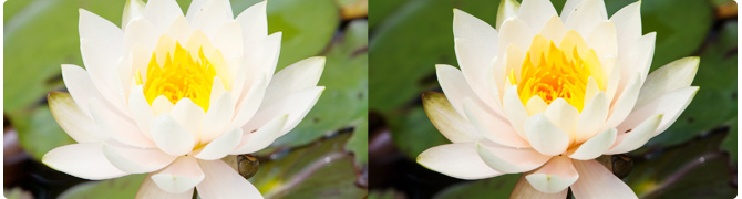 desktop lcd monitors